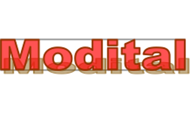 Logo - MODİTAL